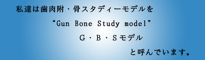 Ｇ・Ｂ・Ｓモデル